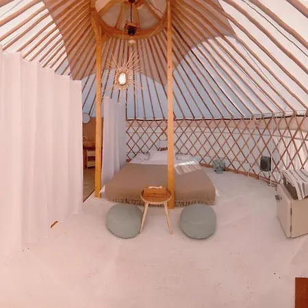 Glamping Iurte Mongole Spiritul Zimbrului Vama Buzăului