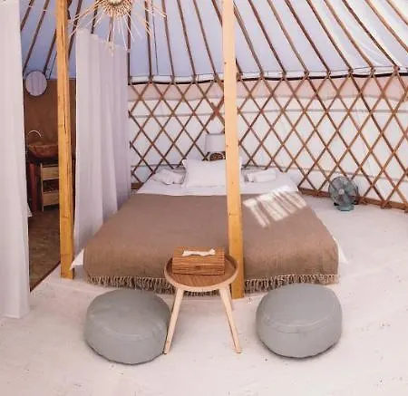 Glamping Iurte Mongole Spiritul Zimbrului Vama Buzăului