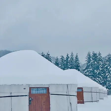 Glamping Iurte Mongole Spiritul Zimbrului Luxury tent Vama Buzaului