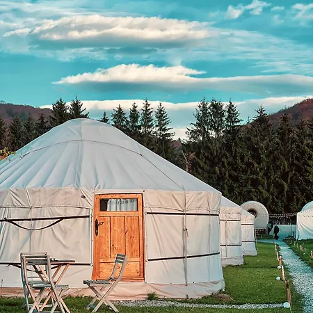 Glamping Iurte Mongole Spiritul Zimbrului Vama Buzaului