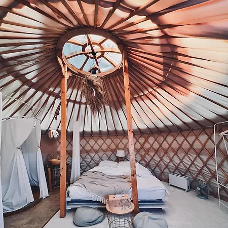 Glamping Iurte Mongole Spiritul Zimbrului