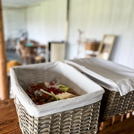 Glamping Iurte Mongole Spiritul Zimbrului Vama Buzaului