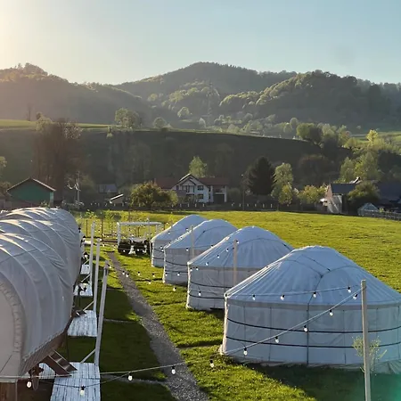 Glamping Iurte Mongole Spiritul Zimbrului Vama Buzăului