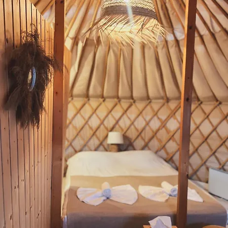 Glamping Iurte Mongole Spiritul Zimbrului